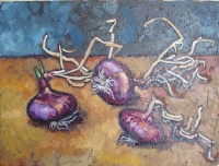 cipolle